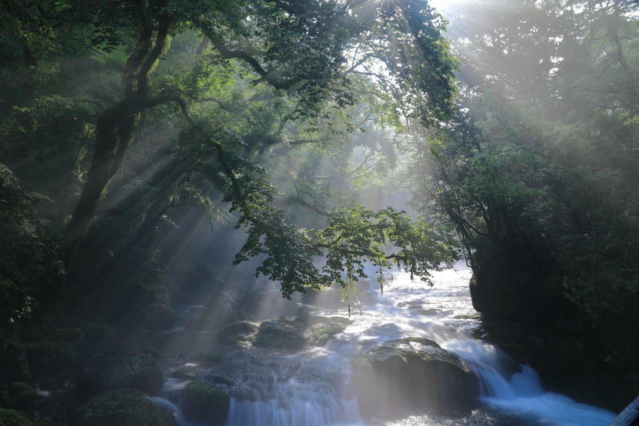 Tubakiann Hotel Kikuchi Bagian luar foto